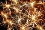 reseau-neurones