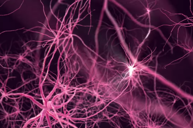 Reseau-neurones
