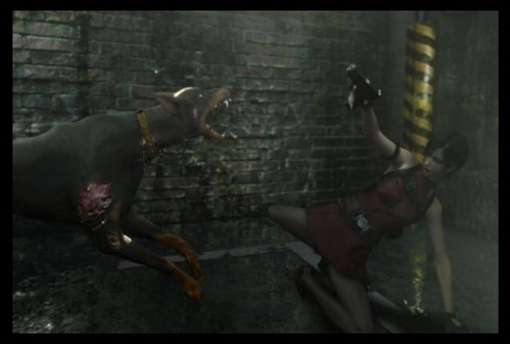 Resident Evil Darkside chronicles (17)