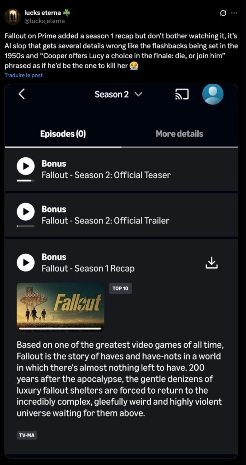 Resum&Atilde;&copy; Fallout IA
