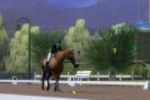 Ride ! : 1 (Small)
