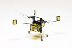 RoboBee