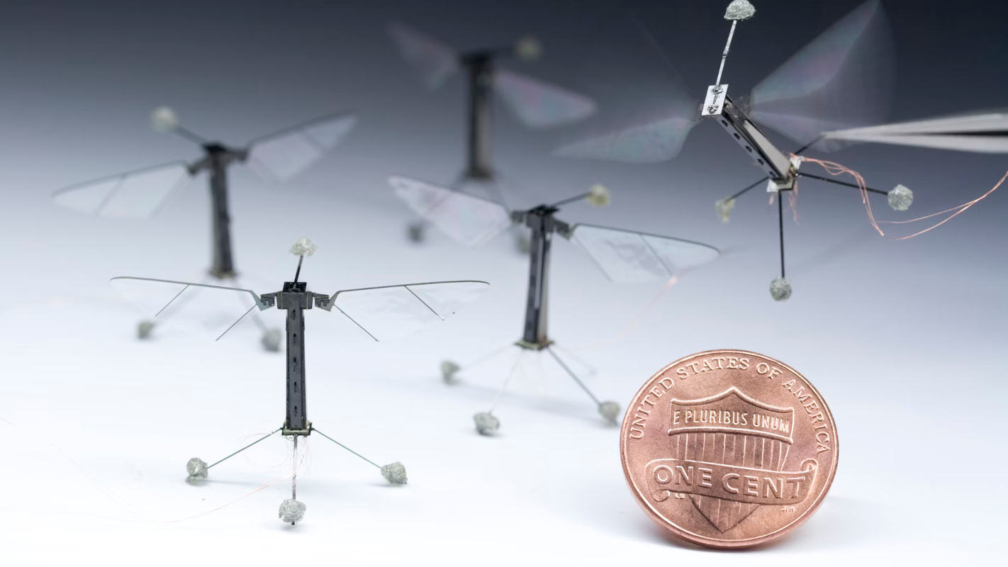 robobee