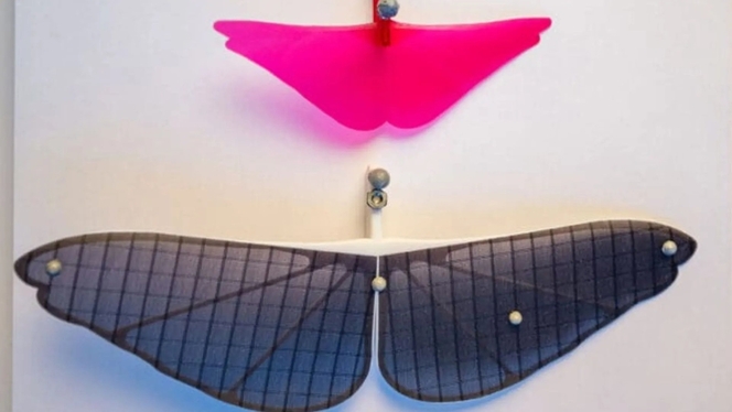 robot aile design princeton