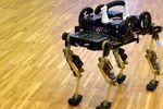 robot chat cheetah-cub
