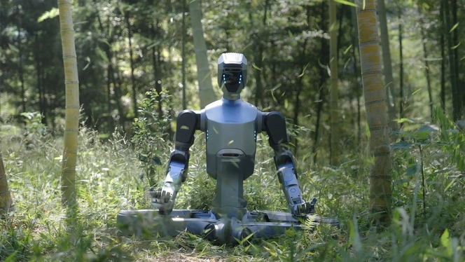 Robot chine
