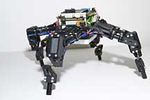 robot conscient Cornell University