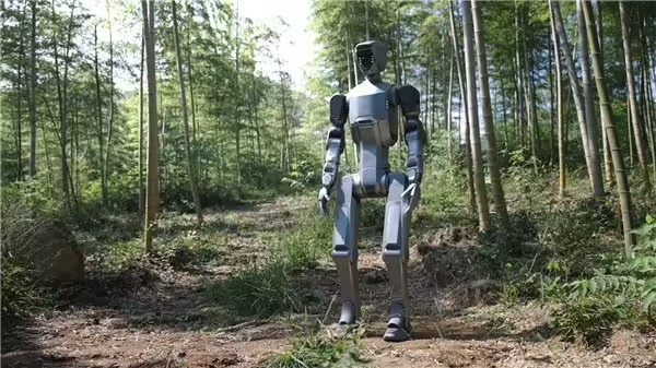 Robot DR02 02