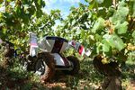 Robot Farmer