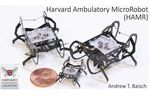 robot HAMR harvard
