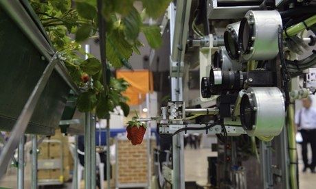 Robot-in-farming--robot-t-009