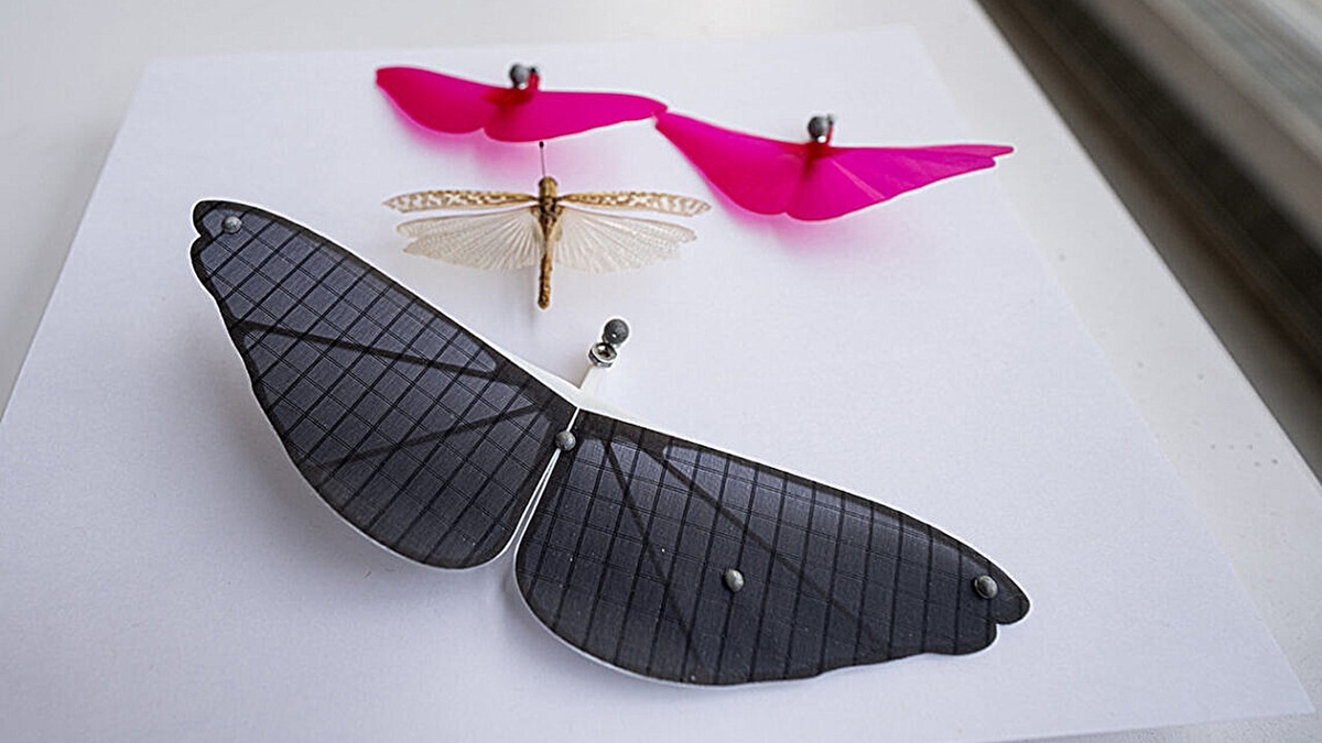 robot insecte vol design aile Princeton