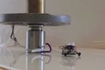 Robot insecte