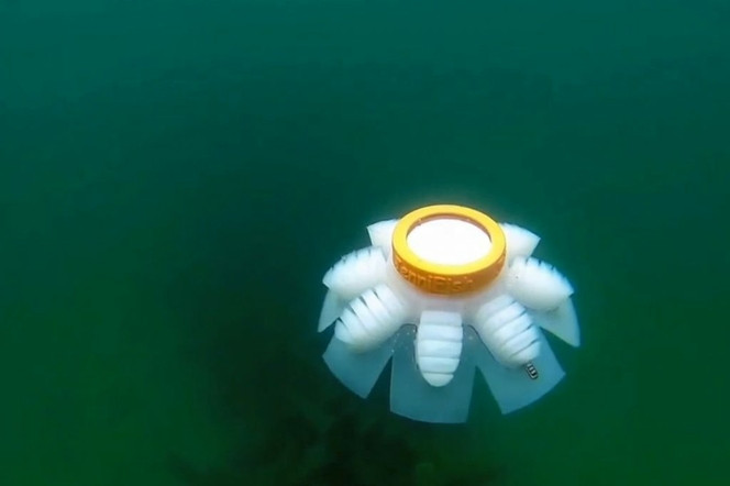 robot méduse 2