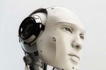 Robot MIT