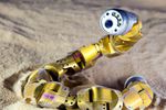 robot serpent