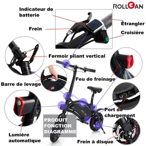 Rollgan-Dolphin-2
