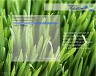 RSS Screensaver