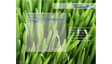 RSS Screensaver