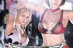Rumble Roses XX - Logo