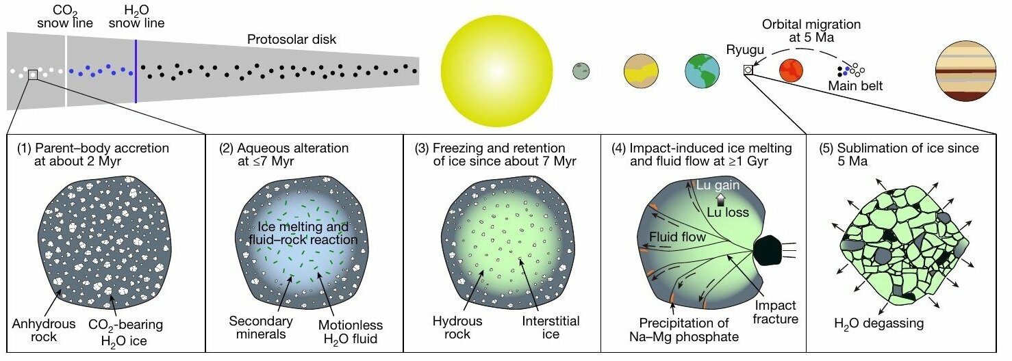 Ryugu eau liquide theorie