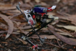 Salto-robot