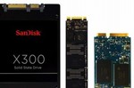 SanDisk X300