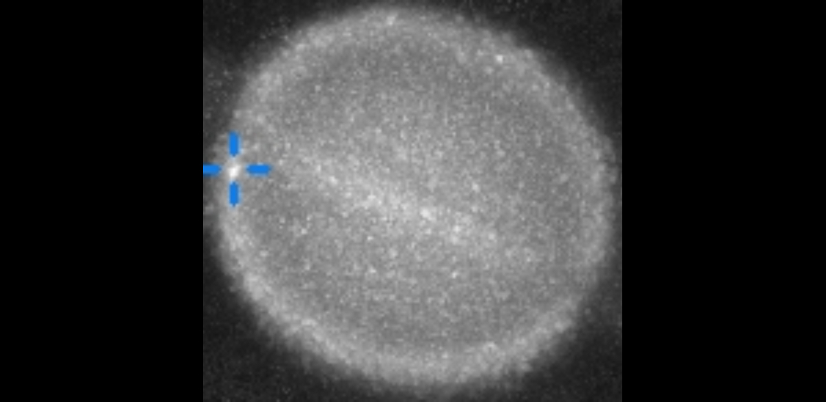 saturne-impact-potentiel