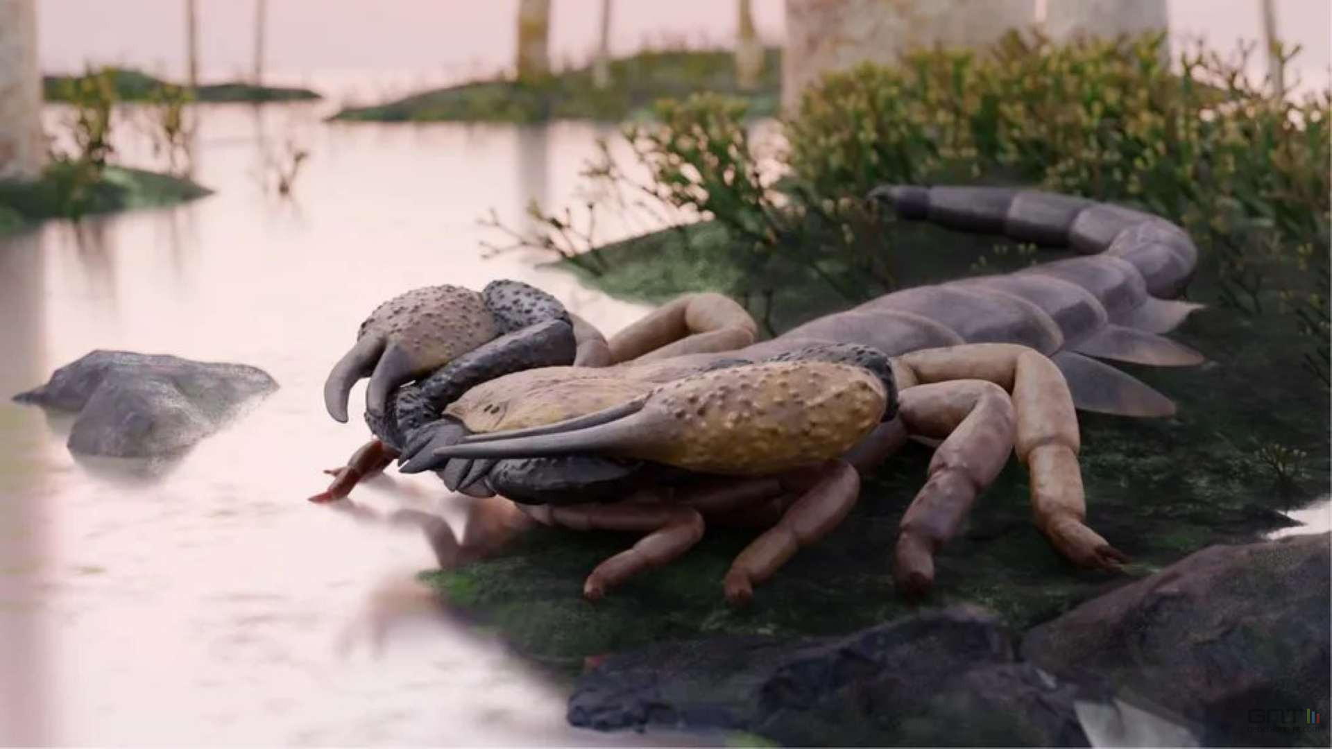 Le plus grand scorpion de l'histoire mesurait plus d'un mètre et vivait en Europe