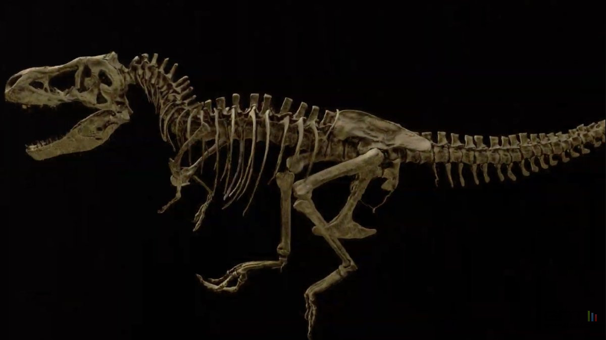 Scotty, le plus grand T-Rex découvert, révèle les secrets de sa mort grâce à une technologie nucléaire