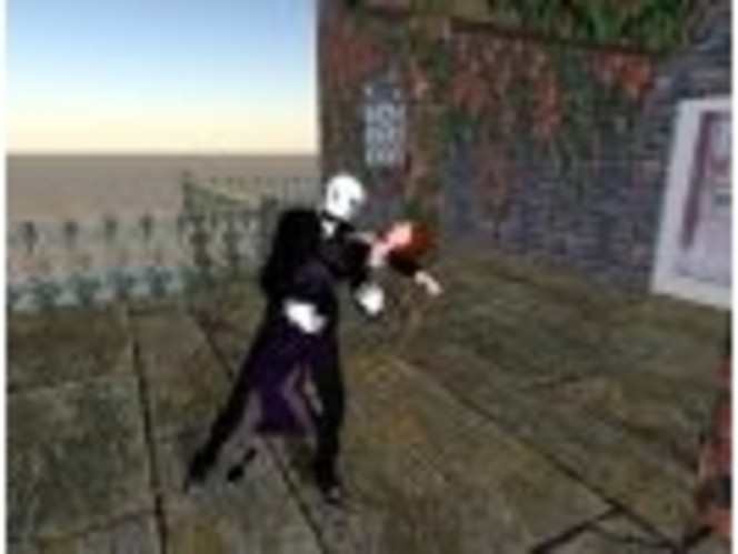 Second Life 3 (Small)