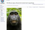 selfie macaque