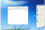 Seline Accessibility (Small)