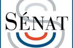 Senat_Logo