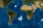 septieme continent plastique