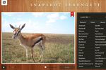 serengeti