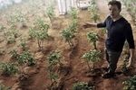 Seul sur Mars pommes de terre