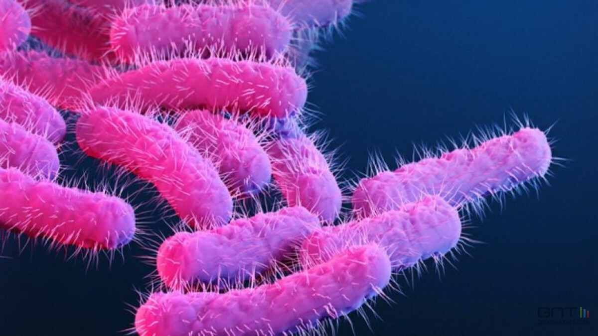 Une super-bactérie résistante aux antibiotiques progresse aux États-Unis