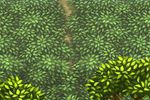 Shiren the Wanderer 5 - 2