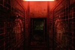Silent Hill Alchemilla