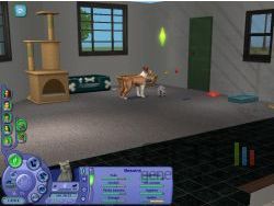 Sims 2 : Animaux & Co - img17