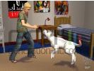 Sims 2 : Animaux & Co - img31