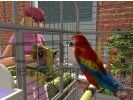 Sims 2 : Animaux & Co - img36