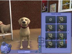 Sims 2 : Animaux & Co - img7