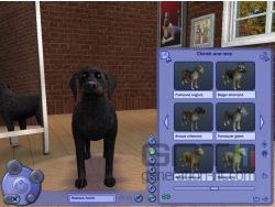 Sims 2 : Animaux & Co - img8