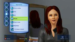 Les Sims 3 (30)