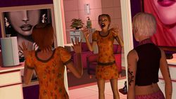Les Sims 3 Ambitions (4)