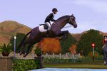 Les Sims 3 Animaux & Cie (3)