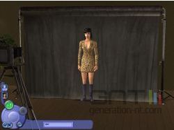 Les Sims Au fil des saisons - img4
