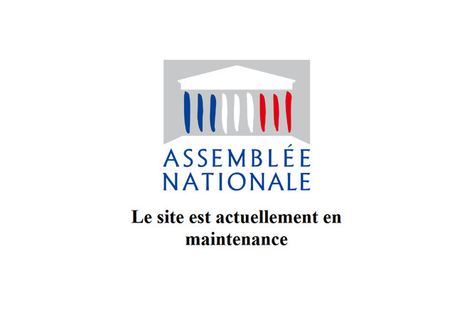 site-assemblee-nationale-ddos